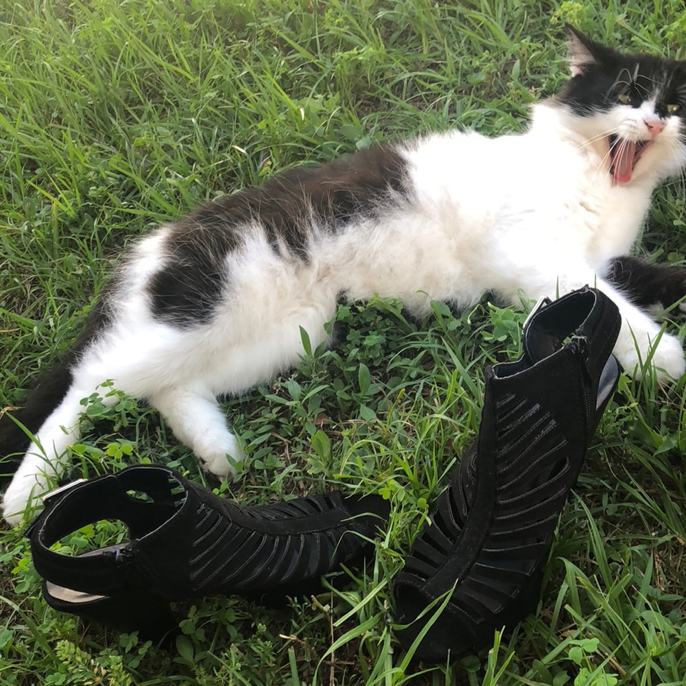 Black sandals with heels :)
